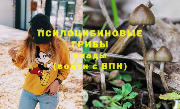 СК Магадан