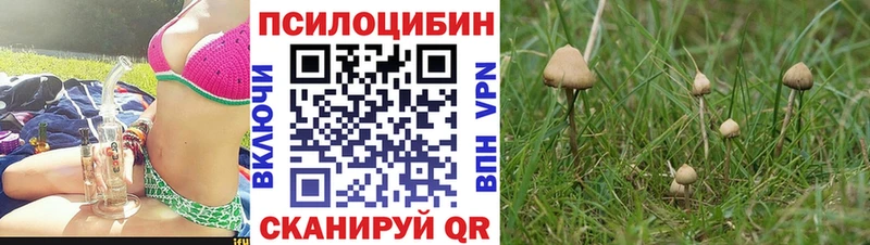 Псилоцибиновые грибы прущие грибы кракен ССЫЛКА Хасавюрт