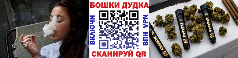 Бошки марихуана THC 21% Хасавюрт